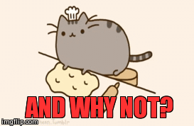 And Why Not? | image tagged in gifs,cats,funny,funny cat | made w/ Imgflip video-to-gif maker
