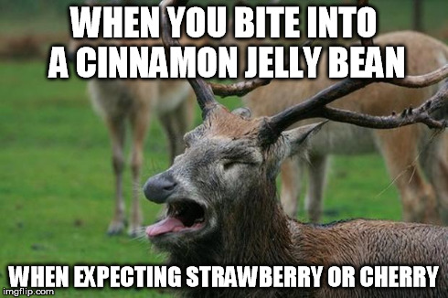 Disgusted Deer | WHEN YOU BITE INTO A CINNAMON JELLY BEAN WHEN EXPECTING STRAWBERRY OR CHERRY | image tagged in disgusted deer,AdviceAnimals | made w/ Imgflip meme maker