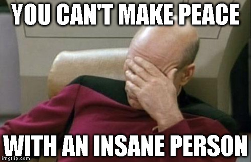 Captain Picard Facepalm Meme | YOU CAN'T MAKE PEACE WITH AN INSANE PERSON | image tagged in memes,captain picard facepalm | made w/ Imgflip meme maker