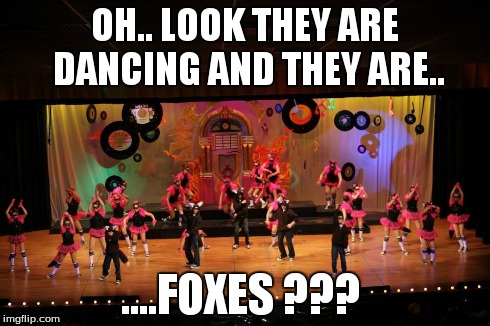 Dancing Foxes Meme  | OH.. LOOK THEY ARE DANCING AND THEY ARE.. ....FOXES ??? | image tagged in dance,farm animals | made w/ Imgflip meme maker
