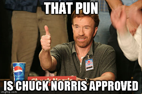 THAT PUN IS CHUCK NORRIS APPROVED | made w/ Imgflip meme maker