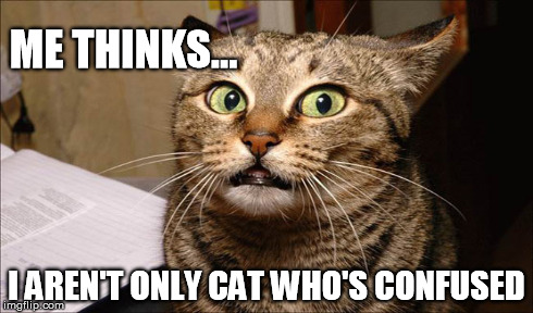 Confused Cat | ME THINKS... I AREN'T ONLY CAT WHO'S CONFUSED | image tagged in confused,cat,funny cat,first world problems cat,caturday,shocked cat | made w/ Imgflip meme maker