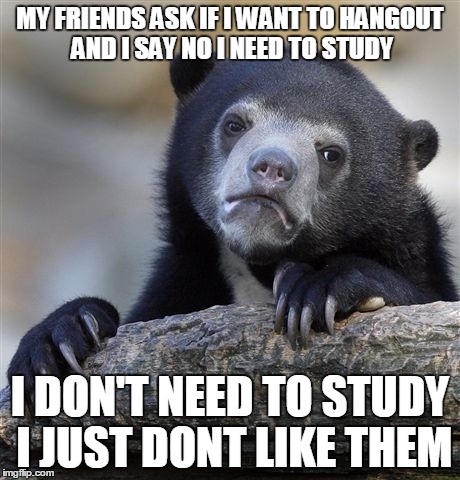 Confession Bear Meme | MY FRIENDS ASK IF I WANT TO HANGOUT AND I SAY NO I NEED TO STUDY I DON'T NEED TO STUDY I JUST DONT LIKE THEM | image tagged in memes,confession bear,AdviceAnimals | made w/ Imgflip meme maker