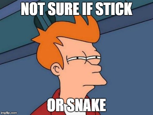 Futurama Fry | NOT SURE IF STICK OR SNAKE | image tagged in memes,futurama fry | made w/ Imgflip meme maker