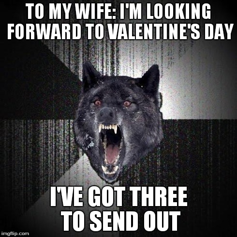 Insanity Wolf | TO MY WIFE: I'M LOOKING FORWARD TO VALENTINE'S DAY I'VE GOT THREE TO SEND OUT | image tagged in memes,insanity wolf,AdviceAnimals | made w/ Imgflip meme maker