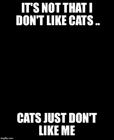 Grumpy Cat Meme | IT'S NOT THAT I DON'T LIKE CATS .. CATS JUST DON'T LIKE ME | image tagged in memes,grumpy cat | made w/ Imgflip meme maker