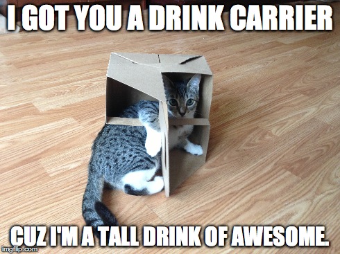 Tall Drink of Awesome | I GOT YOU A DRINK CARRIER CUZ I'M A TALL DRINK OF AWESOME. | image tagged in lolcat,funny cat,hipster kitty,the most interesting cat in the world | made w/ Imgflip meme maker