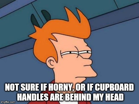 Futurama Fry | NOT SURE IF HORNY, OR IF CUPBOARD HANDLES ARE BEHIND MY HEAD | image tagged in memes,futurama fry | made w/ Imgflip meme maker