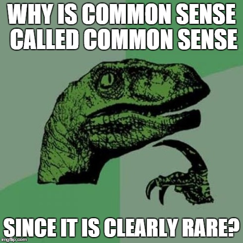 ? | WHY IS COMMON SENSE CALLED COMMON SENSE SINCE IT IS CLEARLY RARE? | image tagged in memes,philosoraptor | made w/ Imgflip meme maker