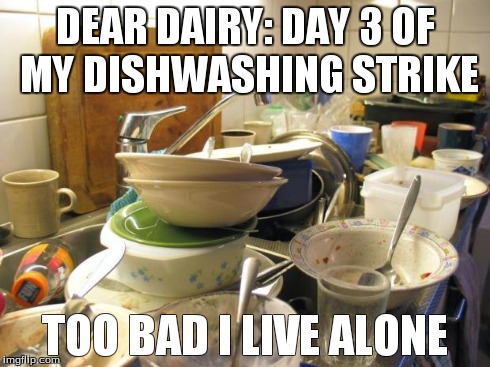 dirty dishes | DEAR DAIRY: DAY 3 OF MY DISHWASHING STRIKE TOO BAD I LIVE ALONE | image tagged in dirty dishes | made w/ Imgflip meme maker