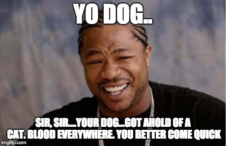Yo Dawg Heard You | YO DOG.. SIR, SIR....YOUR DOG...GOT AHOLD OF A CAT. BLOOD EVERYWHERE. YOU BETTER COME QUICK | image tagged in memes,yo dawg heard you | made w/ Imgflip meme maker