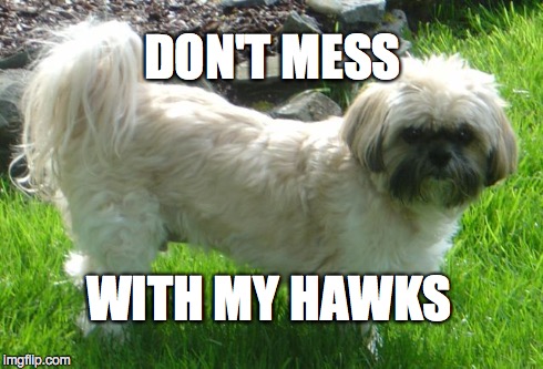 DON'T MESS WITH MY HAWKS | image tagged in seahawks | made w/ Imgflip meme maker