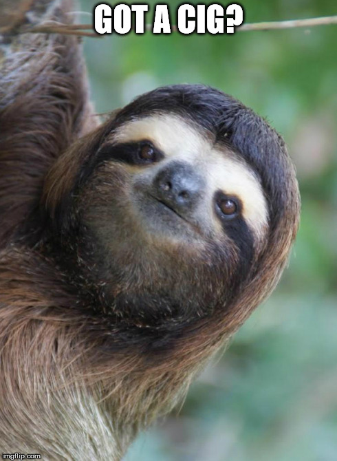 Cig Sloth | GOT A CIG? | image tagged in cigs,sloth,creep | made w/ Imgflip meme maker