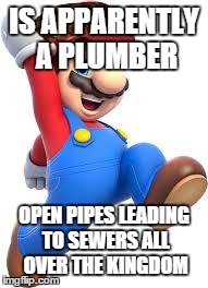 mario | IS APPARENTLY A PLUMBER OPEN PIPES LEADING TO SEWERS ALL OVER THE KINGDOM | image tagged in mario,scumbag | made w/ Imgflip meme maker