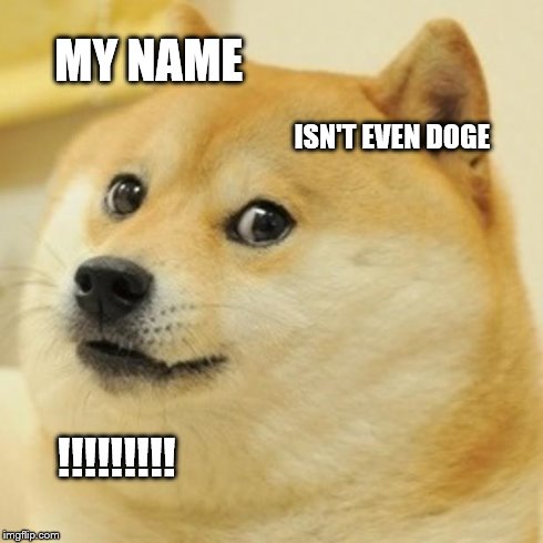 Doge | MY NAME ISN'T EVEN DOGE !!!!!!!!! | image tagged in memes,doge | made w/ Imgflip meme maker