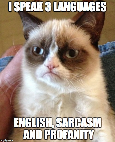 Grumpy Cat Meme | I SPEAK 3 LANGUAGES ENGLISH, SARCASM AND PROFANITY | image tagged in memes,grumpy cat | made w/ Imgflip meme maker