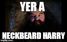 hagrid yer a wizard | YER A NECKBEARD HARRY | image tagged in hagrid yer a wizard | made w/ Imgflip meme maker