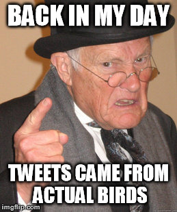 Back In My Day | BACK IN MY DAY TWEETS CAME FROM ACTUAL BIRDS | image tagged in memes,back in my day,funny,twitter,birds | made w/ Imgflip meme maker