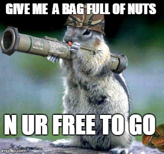Bazooka Squirrel Meme | GIVE ME  A BAG FULL OF NUTS N UR FREE TO GO | image tagged in memes,bazooka squirrel | made w/ Imgflip meme maker