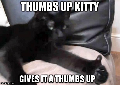 Thumbs Up Kitty | THUMBS UP KITTY GIVES IT A THUMBS UP | image tagged in cats,lolz,funny cat | made w/ Imgflip meme maker