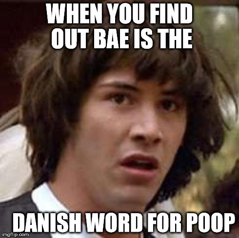 Conspiracy Keanu Meme | WHEN YOU FIND OUT BAE IS THE DANISH WORD FOR POOP | image tagged in memes,conspiracy keanu | made w/ Imgflip meme maker