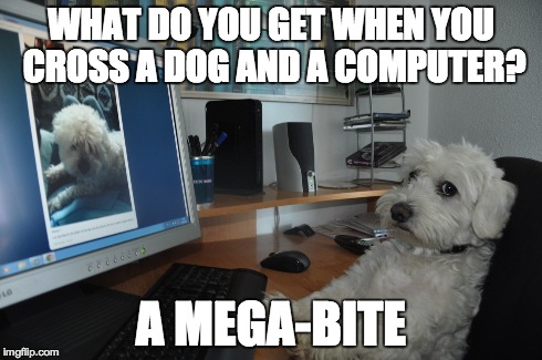 WHAT DO YOU GET WHEN YOU CROSS A DOG AND A COMPUTER? A MEGA-BITE | made w/ Imgflip meme maker