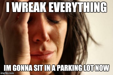 First World Problems | I WREAK EVERYTHING IM GONNA SIT IN A PARKING LOT NOW | image tagged in memes,first world problems | made w/ Imgflip meme maker
