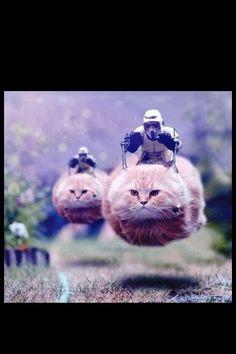 High Quality flying cat stormtrooper Blank Meme Template