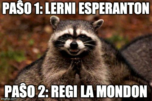 Evil Plotting Raccoon Meme | PAŜO 1: LERNI ESPERANTON PAŜO 2: REGI LA MONDON | image tagged in memes,evil plotting raccoon | made w/ Imgflip meme maker