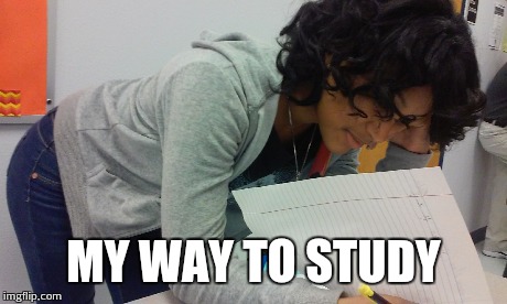 Study girl | MY WAY TO STUDY | image tagged in school girl | made w/ Imgflip meme maker