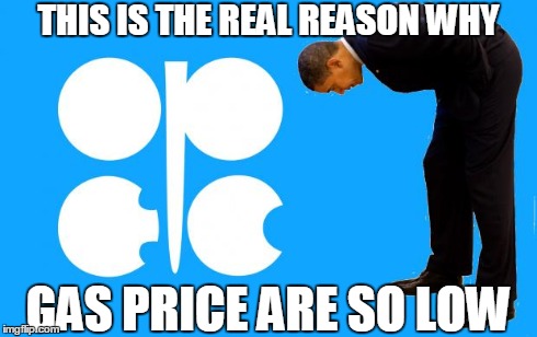 Obama bows down to opec | THIS IS THE REAL REASON WHY GAS PRICE ARE SO LOW | image tagged in obama bows to opec,obama,opec,memes | made w/ Imgflip meme maker