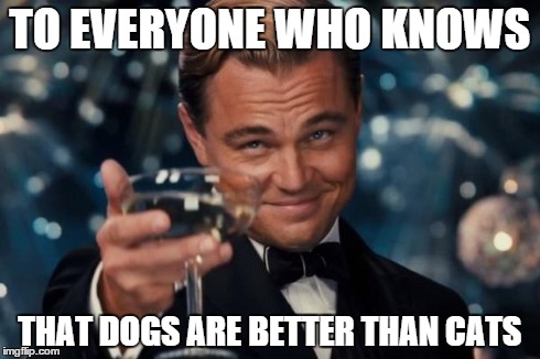This should be everyone | TO EVERYONE WHO KNOWS THAT DOGS ARE BETTER THAN CATS | image tagged in memes,leonardo dicaprio cheers | made w/ Imgflip meme maker
