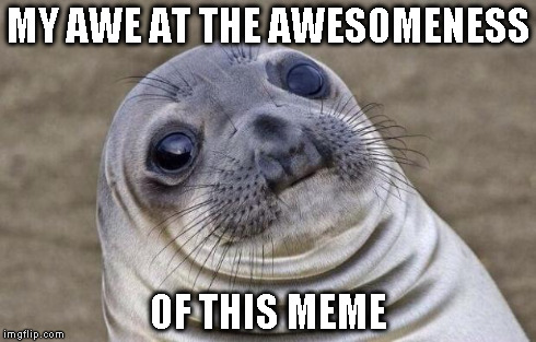 Awkward Moment Sealion Meme | MY AWE AT THE AWESOMENESS OF THIS MEME | image tagged in memes,awkward moment sealion | made w/ Imgflip meme maker