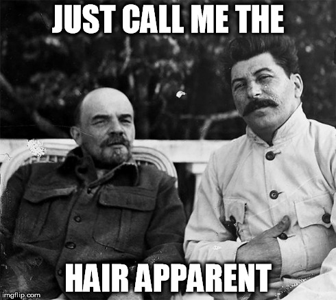 Hair Apparent | JUST CALL ME THE HAIR APPARENT | image tagged in hair apparent | made w/ Imgflip meme maker