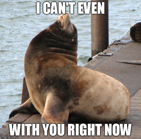 I can't even sea lion | I CAN'T EVEN WITH YOU RIGHT NOW | image tagged in awkward sealion,can't even,memes | made w/ Imgflip meme maker