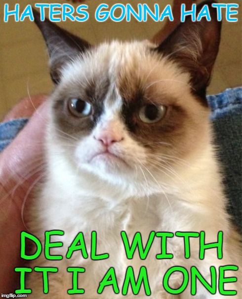 Grumpy Cat | HATERS GONNA HATE DEAL WITH IT I AM ONE | image tagged in memes,grumpy cat | made w/ Imgflip meme maker