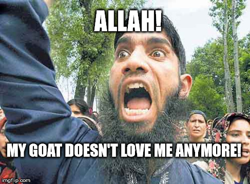 ALLAH! MY GOAT DOESN'T LOVE ME ANYMORE! | image tagged in isiam islamic rage boy | made w/ Imgflip meme maker