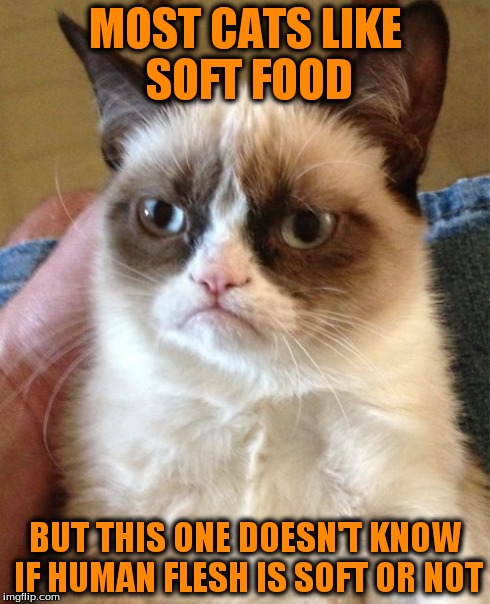 Grumpy Cat Meme | MOST CATS LIKE SOFT FOOD BUT THIS ONE DOESN'T KNOW IF HUMAN FLESH IS SOFT OR NOT | image tagged in memes,grumpy cat | made w/ Imgflip meme maker