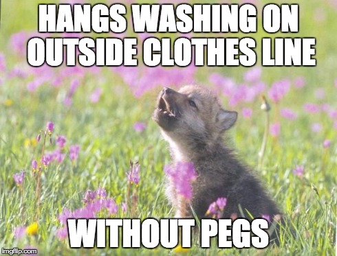 Baby Insanity Wolf Meme | HANGS WASHING ON OUTSIDE CLOTHES LINE WITHOUT PEGS | image tagged in memes,baby insanity wolf,Wellington | made w/ Imgflip meme maker