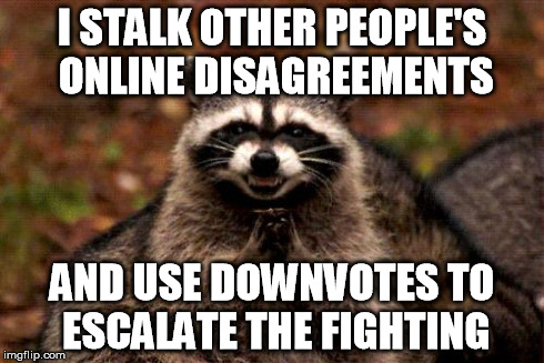 Evil Plotting Raccoon | I STALK OTHER PEOPLE'S ONLINE DISAGREEMENTS AND USE DOWNVOTES TO ESCALATE THE FIGHTING | image tagged in memes,evil plotting raccoon,AdviceAnimals | made w/ Imgflip meme maker