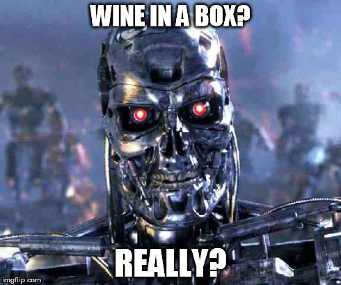 judgmental terminator  | WINE IN A BOX? REALLY? | image tagged in judgmental terminator | made w/ Imgflip meme maker