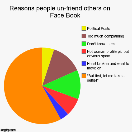 image tagged in funny,pie charts,selfie | made w/ Imgflip chart maker