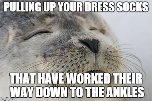 Satisfied Seal | PULLING UP YOUR DRESS SOCKS THAT HAVE WORKED THEIR WAY DOWN TO THE ANKLES | image tagged in memes,satisfied seal | made w/ Imgflip meme maker