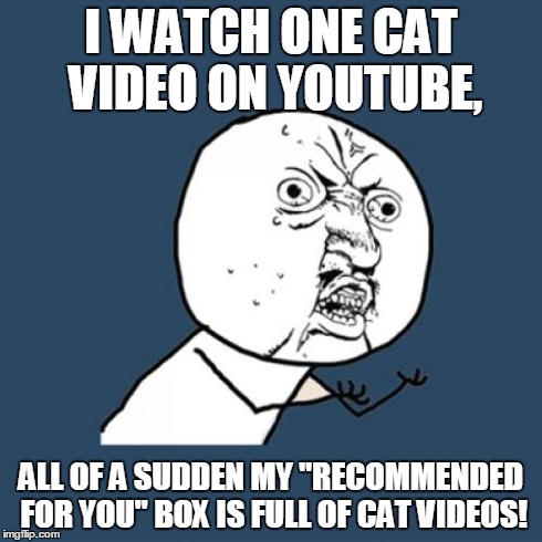 Y U No Meme | I WATCH ONE CAT VIDEO ON YOUTUBE, ALL OF A SUDDEN MY "RECOMMENDED FOR YOU" BOX IS FULL OF CAT VIDEOS! | image tagged in memes,y u no | made w/ Imgflip meme maker