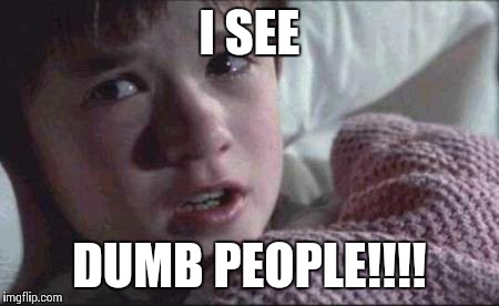 I See Dead People | I SEE DUMB PEOPLE!!!! | image tagged in memes,i see dead people | made w/ Imgflip meme maker