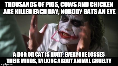 And everybody loses their minds Meme | THOUSANDS OF PIGS, COWS AND CHICKEN ARE KILLED EACH DAY, NOBODY BATS AN EYE A DOG OR CAT IS HURT, EVERYONE LOSSES THEIR MINDS, TALKING ABOUT | image tagged in memes,and everybody loses their minds | made w/ Imgflip meme maker