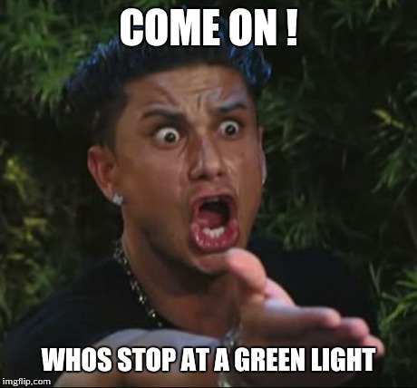 DJ Pauly D | COME ON ! WHOS STOP AT A GREEN LIGHT | image tagged in memes,dj pauly d | made w/ Imgflip meme maker