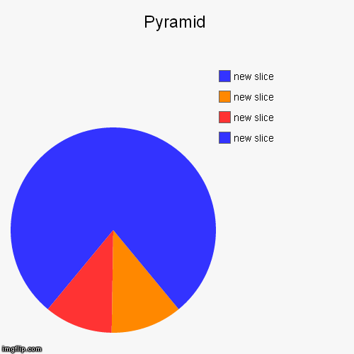 Isn't a new idea but this one is acurate | image tagged in funny,pie charts | made w/ Imgflip chart maker