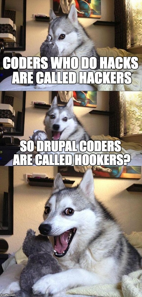 Bad Pun Dog | CODERS WHO DO HACKS ARE CALLED HACKERS SO DRUPAL CODERS ARE CALLED HOOKERS? | image tagged in memes,bad pun dog | made w/ Imgflip meme maker