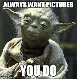 ALWAYS WANT PICTURES YOU DO | image tagged in yoda | made w/ Imgflip meme maker